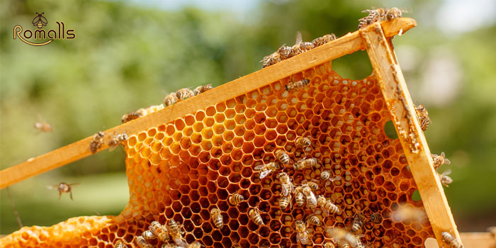 خرید عسل طبیعی با قیمت مناسب-عسل طبیعی با کیفیت-فروشگاه اینترنتی رومالز